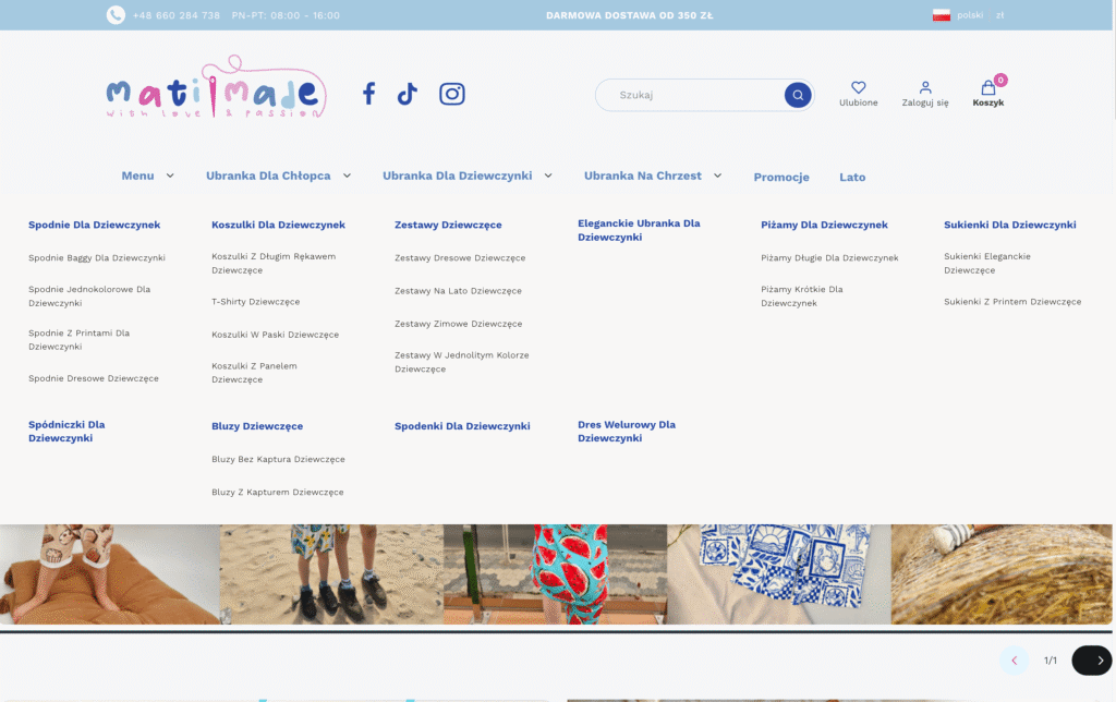 Netplace Mega Menu
